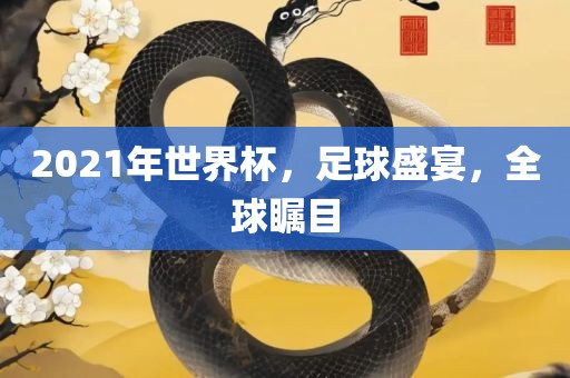 2021年世界杯，足球盛宴，全球瞩目眉山市正发家政服务有限公司