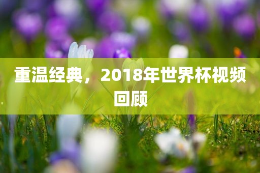 重温经典，2018年世界杯视频回顾
