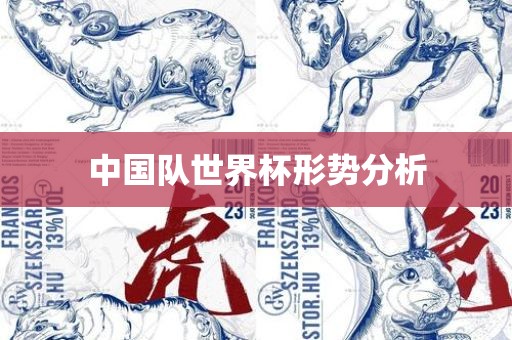 中国队世界杯形势分析