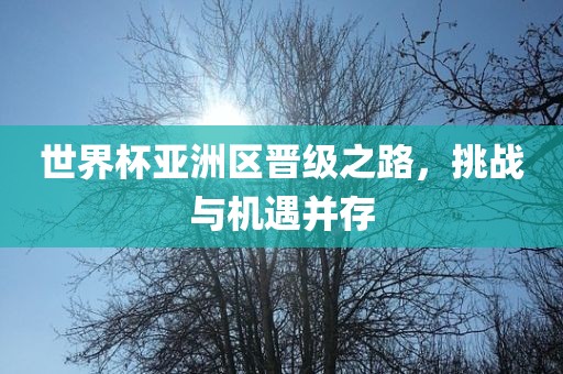世界杯亚洲区晋级之路，挑战与机遇并存