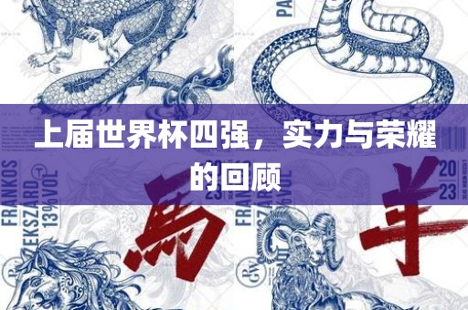 上届世界杯四强，实力与荣耀的回顾