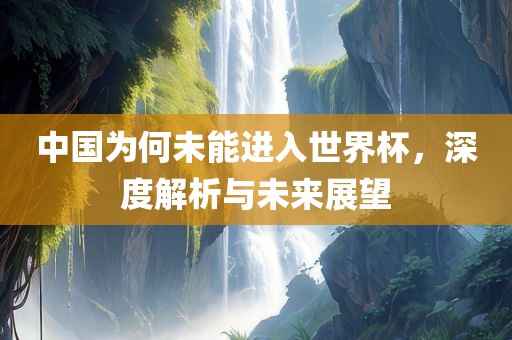 中国为何未能进入世界杯，深度解析与未来展望
