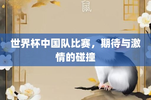 世界杯中国眉山市正发家政服务有限公司队比赛，期待与激情的碰撞