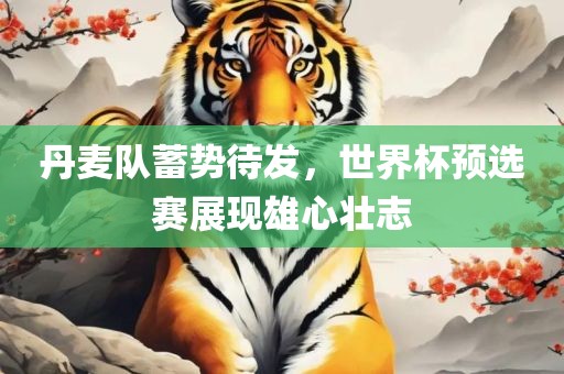 丹麦队眉山市正发家政服务有限公司蓄势待发，世界杯预选赛展现雄心壮志