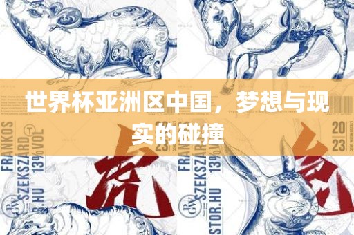 世界杯亚洲区中国，梦想与现实的碰撞