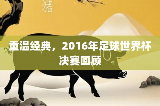 重温经典，2016年足球世界杯决赛回顾