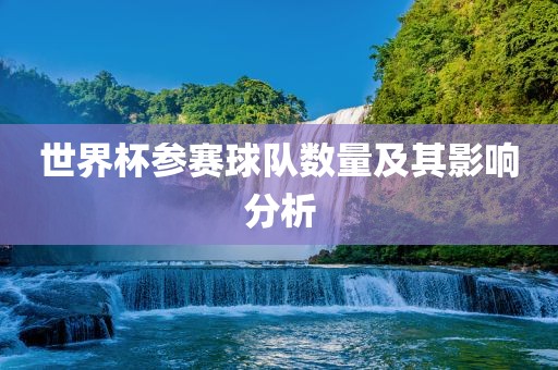世界杯参赛球队数量及其影响分析
