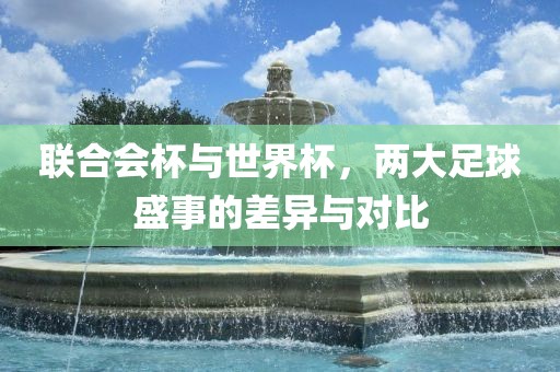 联合会眉山市正发家政服务有限公司杯与世界杯，两大足球盛事的差异与对比