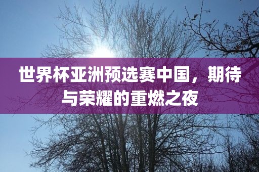 世界杯亚洲预选赛中国，期待与荣耀的重燃之夜
