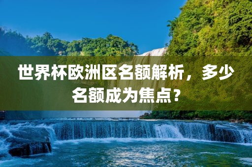 世界杯欧洲区名额解析，多少名额成为焦点？眉山市正发家政服务有限公司