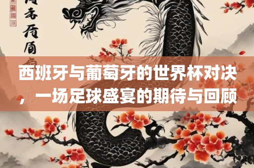 西班牙与葡萄牙的世界杯对决，一场足球盛宴的期待与回顾