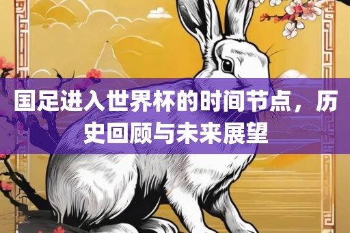 国足进入世界杯的时间节点，历史回顾与未来展望
