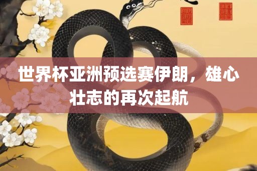 世界杯亚洲预选赛伊朗，雄心壮志的再次起航眉山市正发家政服务有限公司