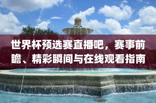 世界杯预选赛直眉山市正发家政服务有限公司播吧，赛事前瞻、精彩瞬间与在线观看指南