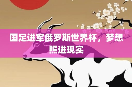 国足进军俄罗斯世界杯，梦想照进现实眉山市正发家政服务有限公司