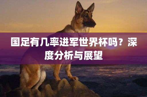 国足有几率进军世界杯吗？深度分析与展望眉山市正发家政服务有限公司