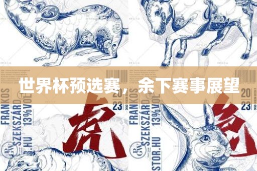 世界杯预选赛，余下赛事展望眉山市正发家政服务有限公司