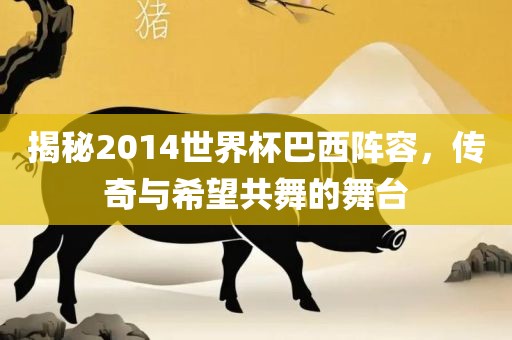 揭秘2014世界杯巴西阵容，传奇与希望共舞的舞台