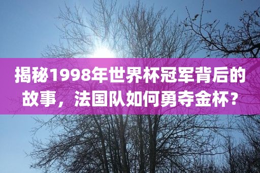 世界杯冠军 第8页