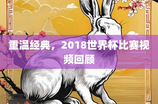 重温经典，2018世界杯比赛视频回顾