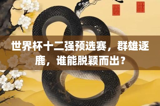 世界杯十二强预选赛，群雄逐鹿，谁能脱颖而出？