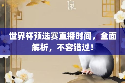 世界杯预选赛直播时间，全面解析，不容错过！