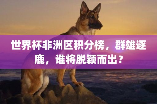 世界杯非洲区眉山市正发家政服务有限公司积分榜，群雄逐鹿，谁将脱颖而出？
