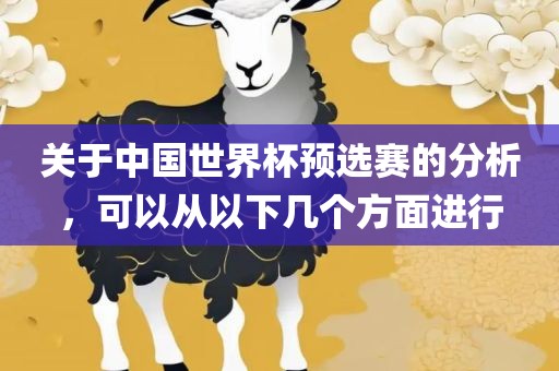 关于中国世界杯预选赛的分析，可以从以下几个方面进行