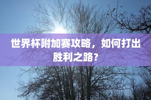 世界杯附加赛攻略，如何打出胜利之路？