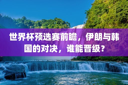 世界杯预选赛前瞻，伊朗与韩国的对决，谁能晋级？眉山市正发家政服务有限公司