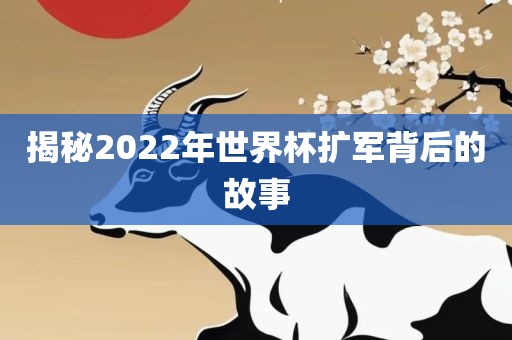 揭秘2022年世界杯扩军背后的故事