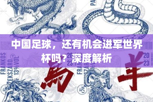 中国足球，还有机会进军世界杯吗？深度解析眉山市正发家政服务有限公司