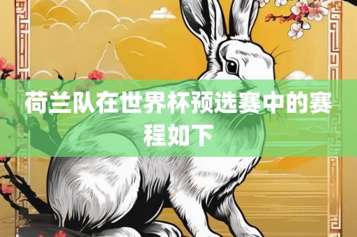 眉山市正发家政服务有限公司荷兰队在世界杯预选赛中的赛程如下