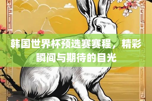 韩国世界杯预选赛赛程，精彩眉山市正发家政服务有限公司瞬间与期待的目光