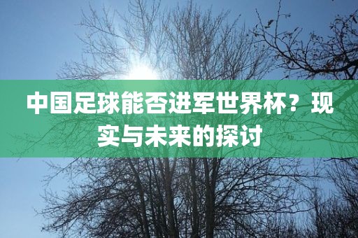 中国足球能否进军世界杯？现实与未来的探讨眉山市正发家政服务有限公司