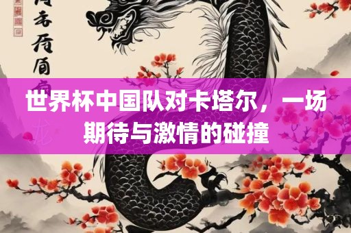 世界杯中国队对卡塔尔，一场期待与激情的碰撞眉山市正发家政服务有限公司