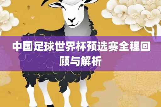 中国足球世界杯预选赛全程回顾与解析眉山市正发家政服务有限公司