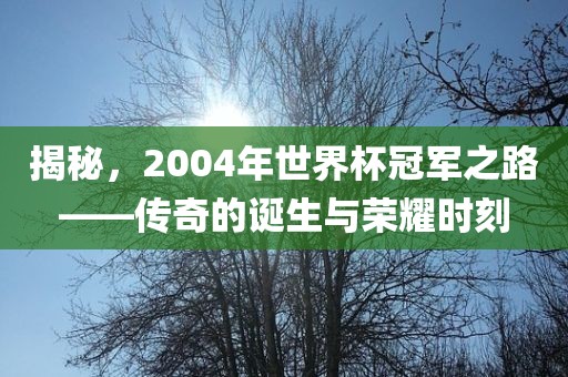 揭秘，2004年世界杯冠军之路——传奇的诞生与荣耀时刻眉山市正发家政服务有限公司