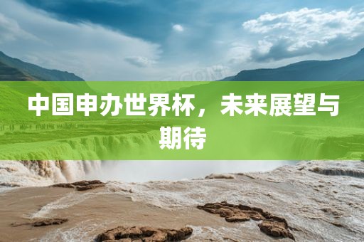 中国申办世界杯，未来展望与期待