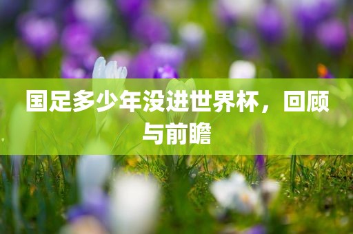 国足多少年没进世界杯，回顾与前瞻眉山市正发家政服务有限公司
