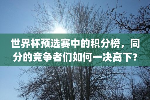 世界杯预选赛中的积分榜，同分的竞争者们如何一决高下？眉山市正发家政服务有限公司