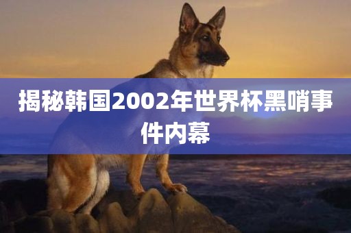 揭秘韩国2002年世界杯黑哨事件内幕眉山市正发家政服务有限公司