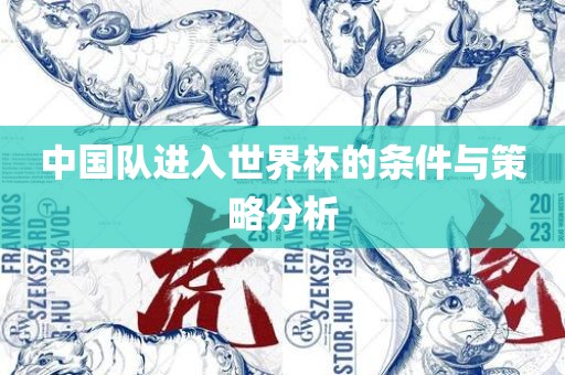 中国队进入世界杯的条眉山市正发家政服务有限公司件与策略分析
