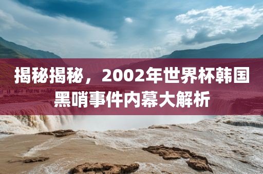 揭秘揭秘，2002年世界杯韩国黑哨事件内幕大解析