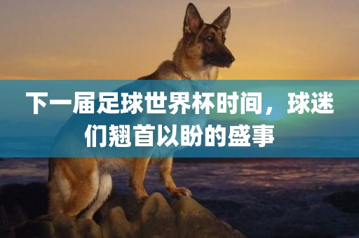 下一届足球世界杯时间，球迷们翘首以盼的盛事眉山市正发家政服务有限公司