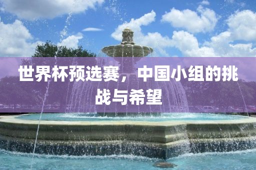 世界杯预选赛，中国小组的挑战与希望眉山市正发家政服务有限公司