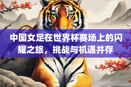 中国女足在世界杯赛场上的闪耀之旅，挑战与机遇并存