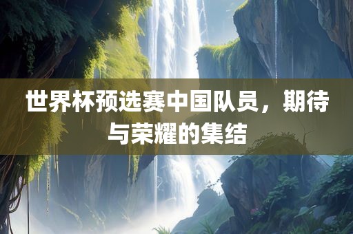 世界杯预选赛中国队员，期待眉山市正发家政服务有限公司与荣耀的集结
