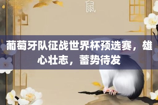 葡萄牙队征战世界杯预选赛，雄心壮志，蓄势待发