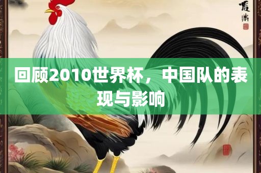 回顾2010世界杯，中国队的表现与影响